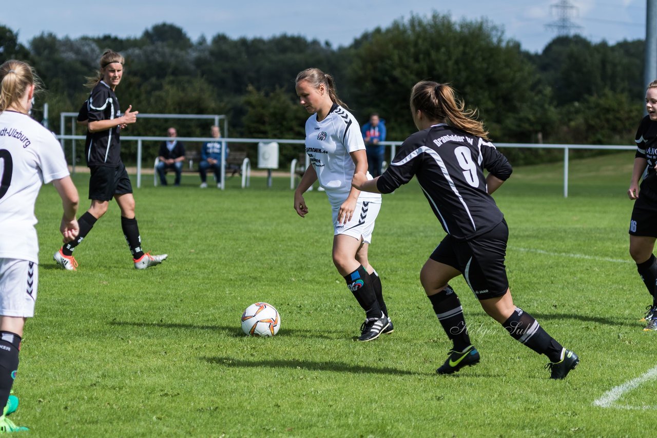 Bild 275 - Frauen SV Henstedt Ulzburg 3 - Bramfeld 3 : Ergebnis: 5:1